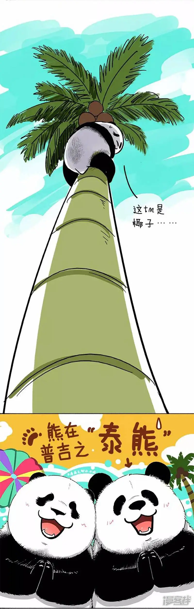 072椰子 第2页