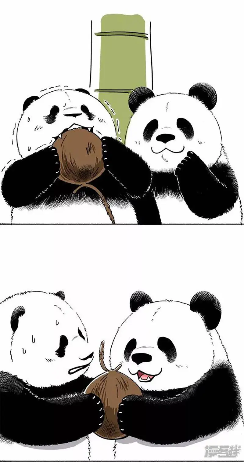 072椰子 第4页