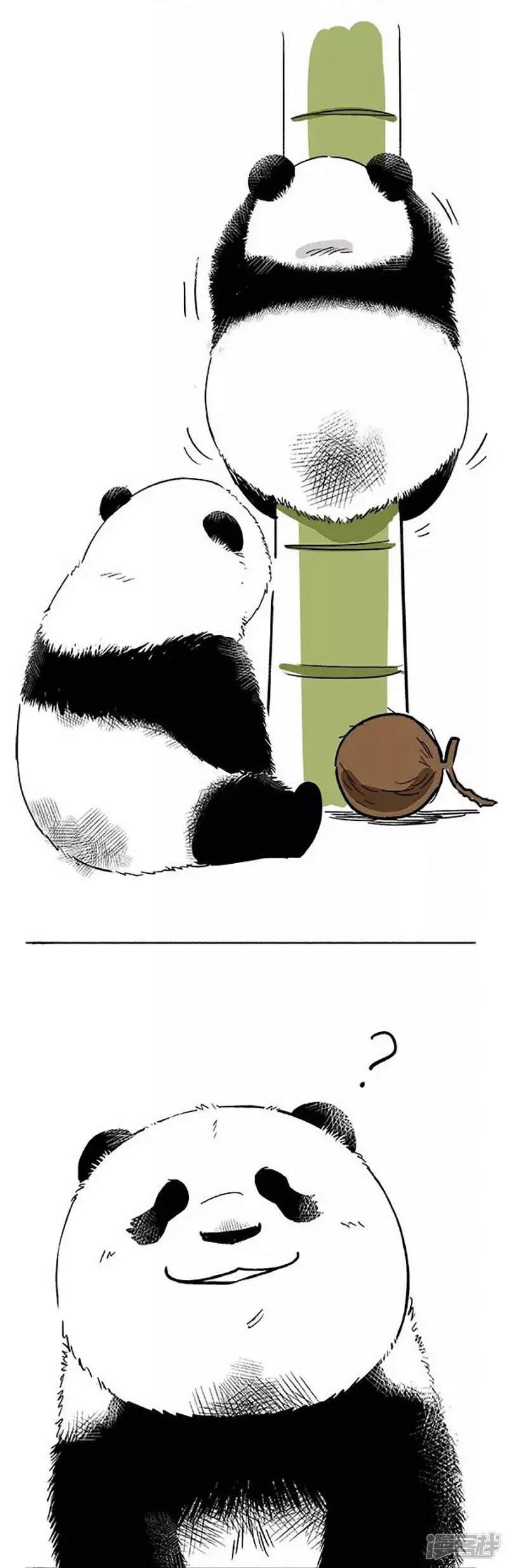 072椰子 第5页