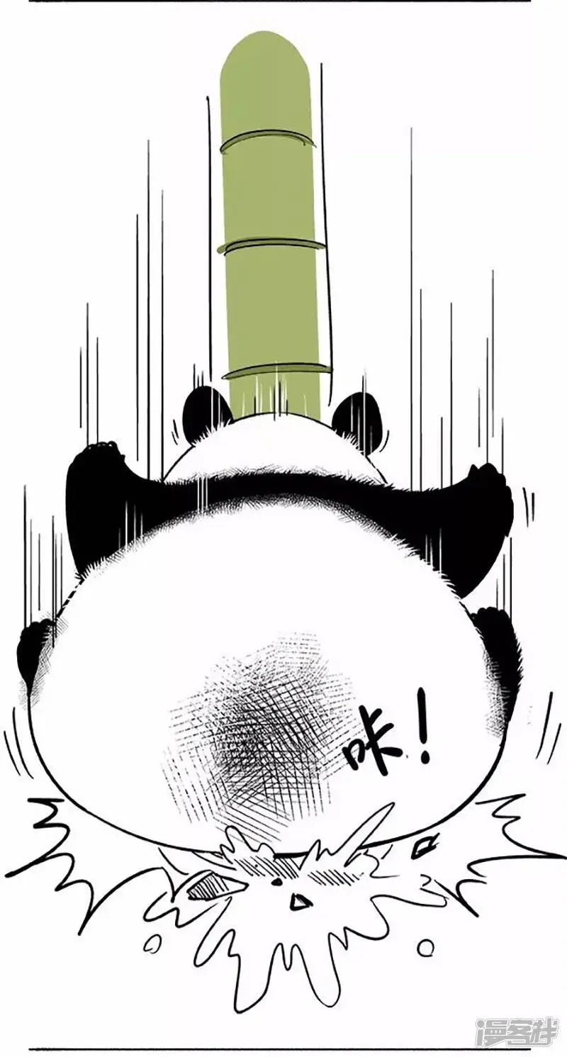 072椰子 第6页