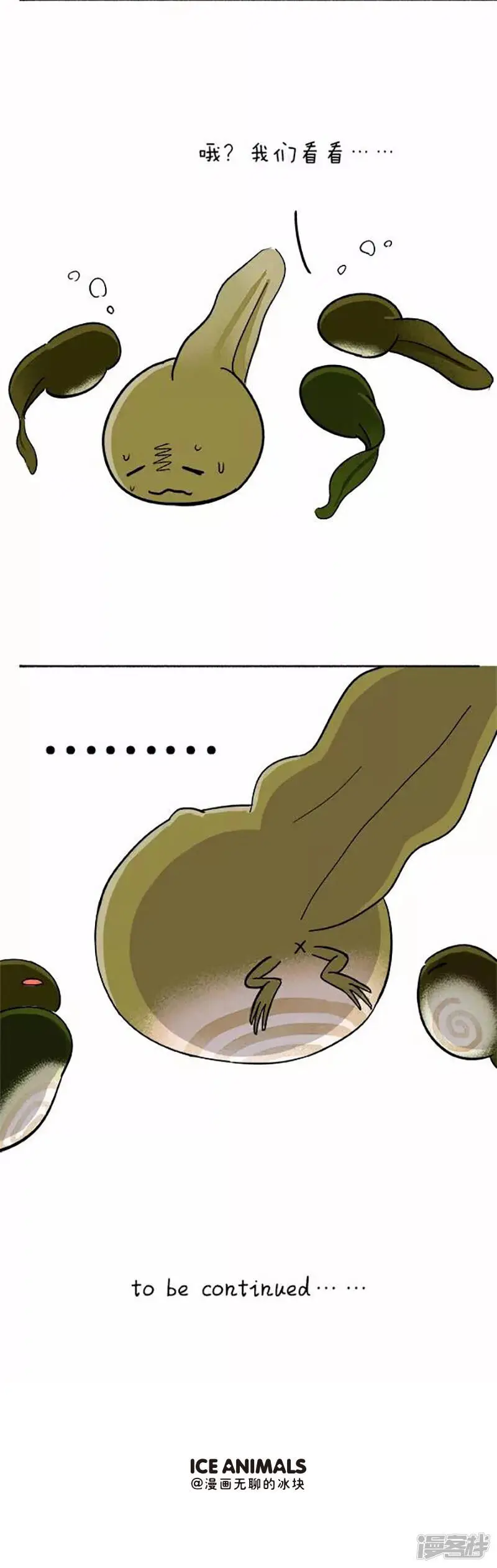 070小蝌蚪找麻麻之小蝌蚪“便秘” 第5页