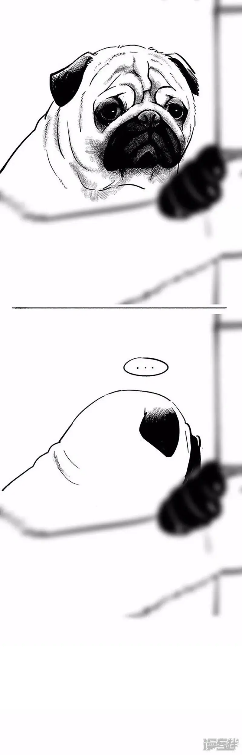 069狗粮 第7页