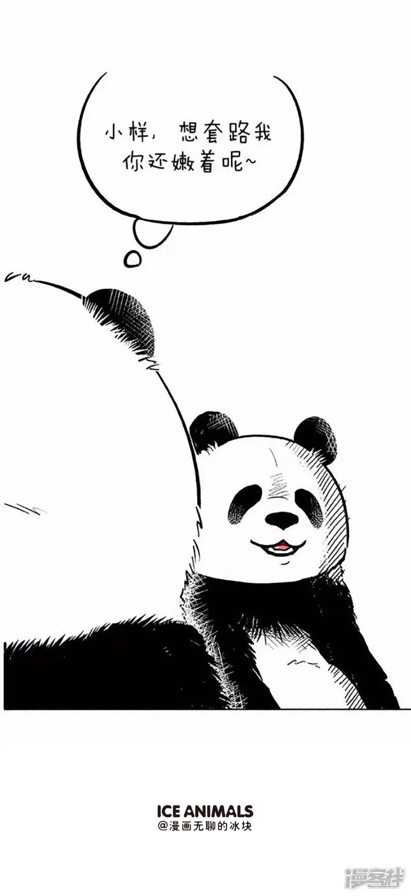 066愚熊 第5页