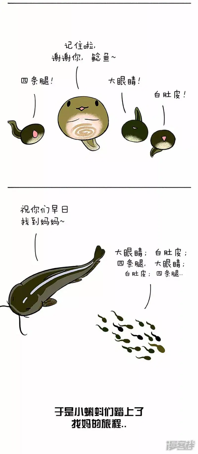 060小蝌蚪找麻麻(一） 第10页