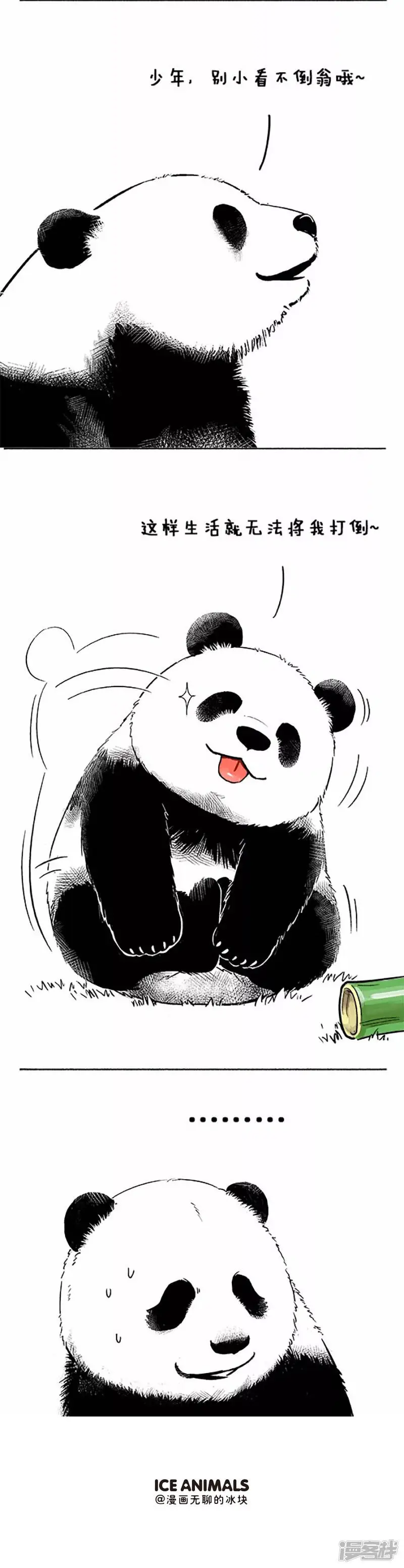 048不倒翁 第5页