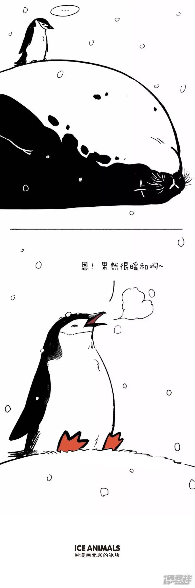 044悬崖 第5页