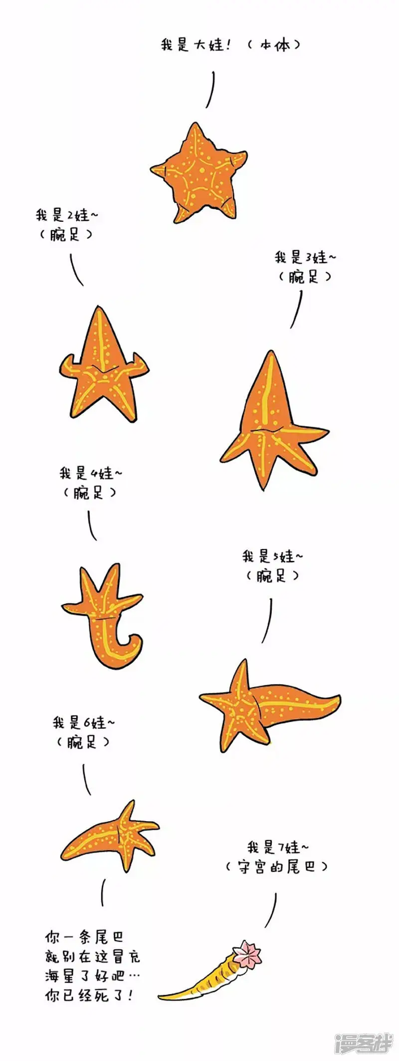 039教训 第4页