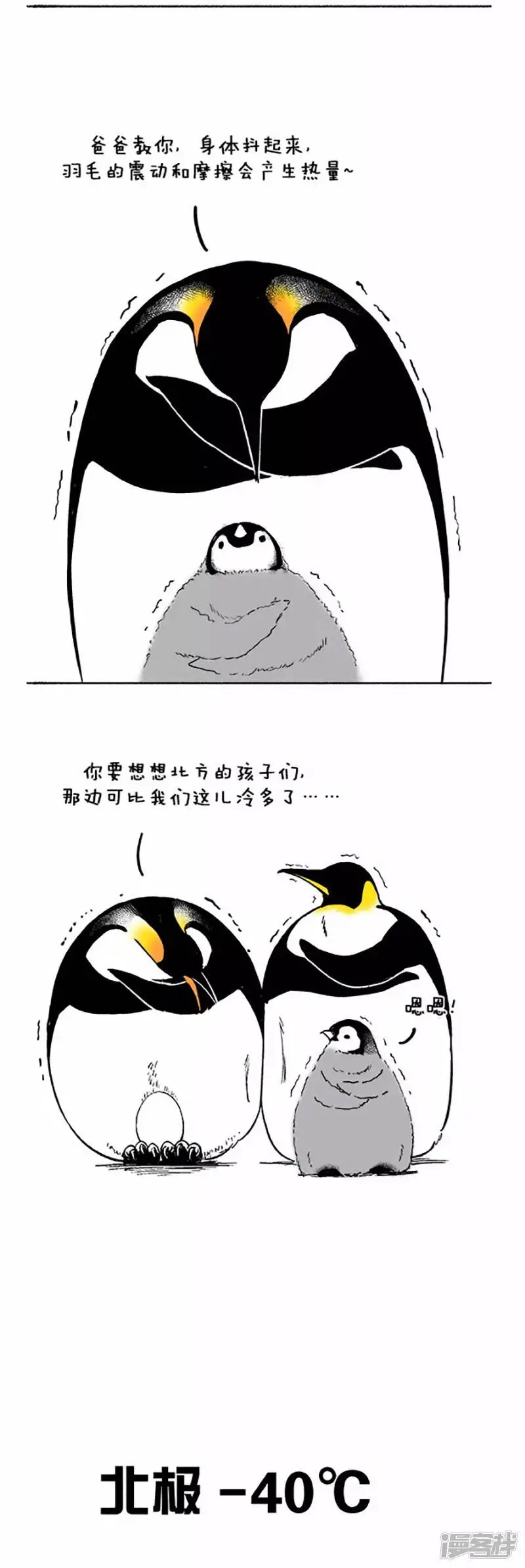 034过冬 第2页