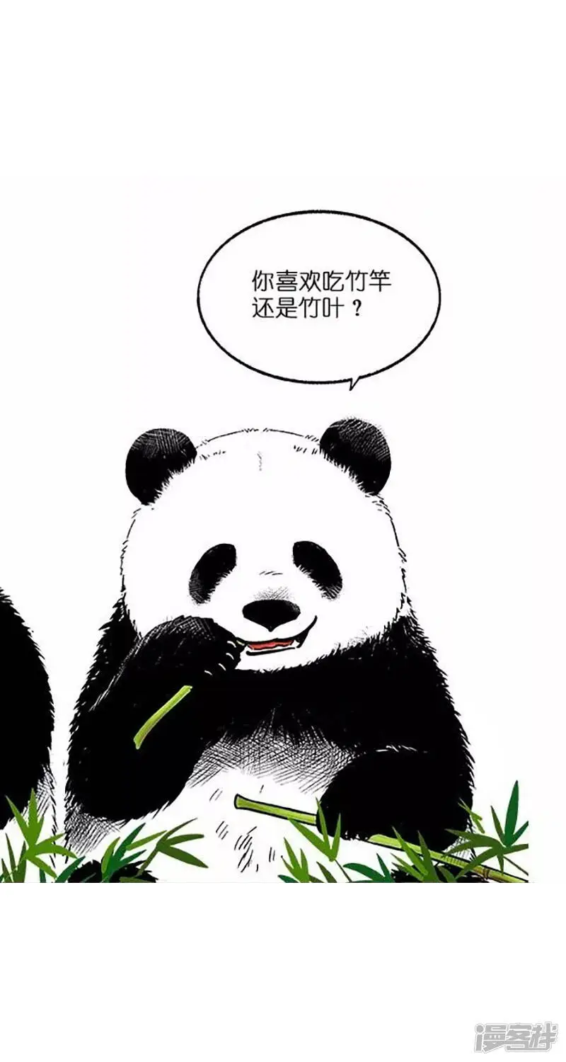 026竹子【二】 第3页