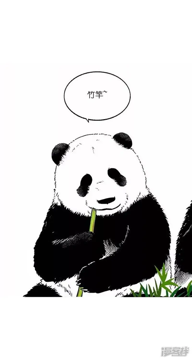 026竹子【二】 第4页