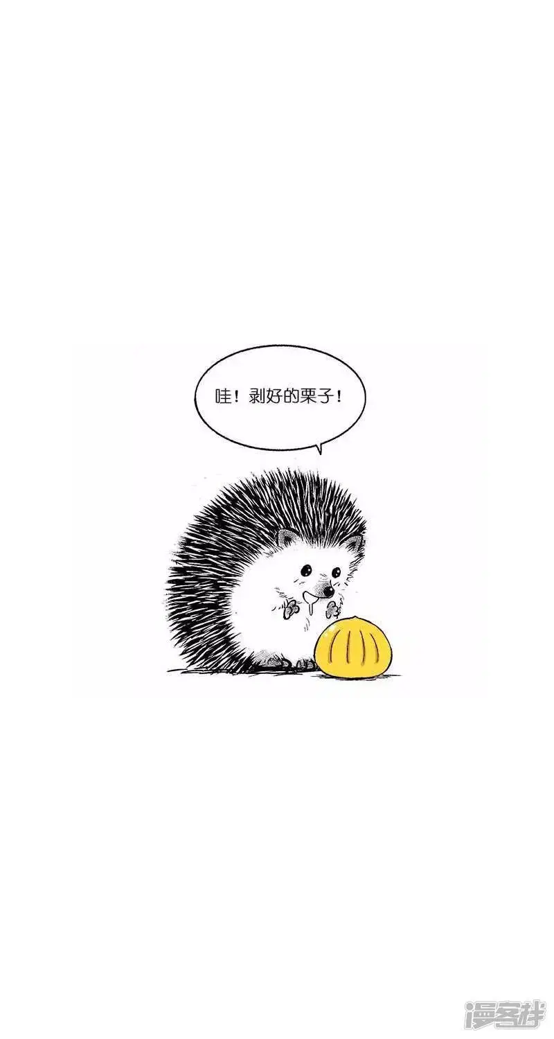 024惊喜 第3页