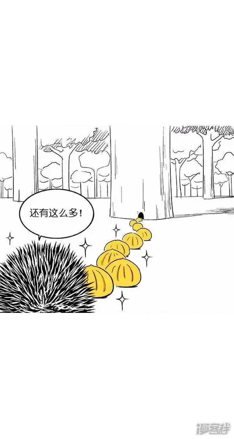 024惊喜 第4页