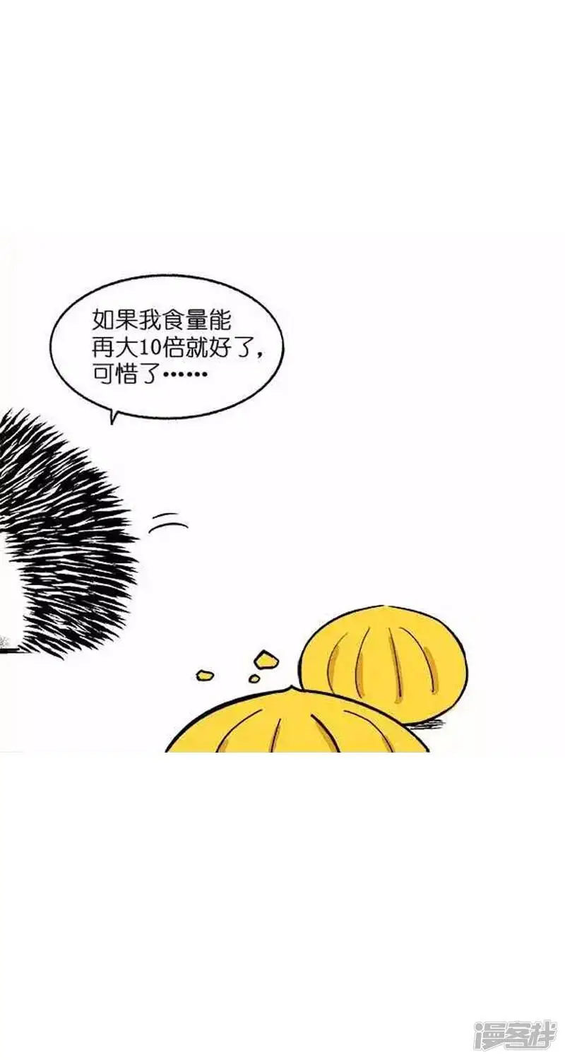 024惊喜 第13页
