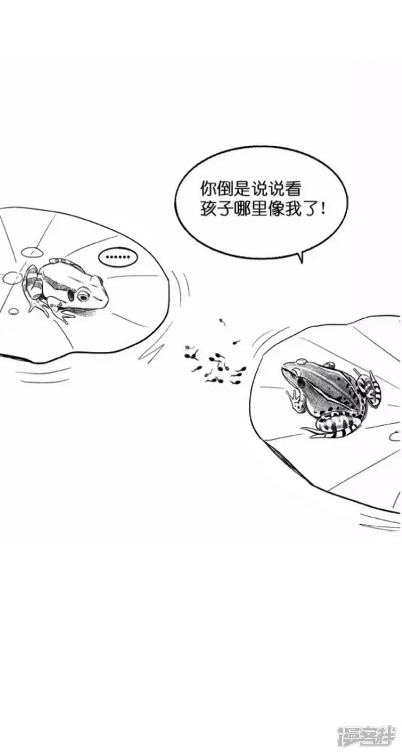 017离婚 第4页