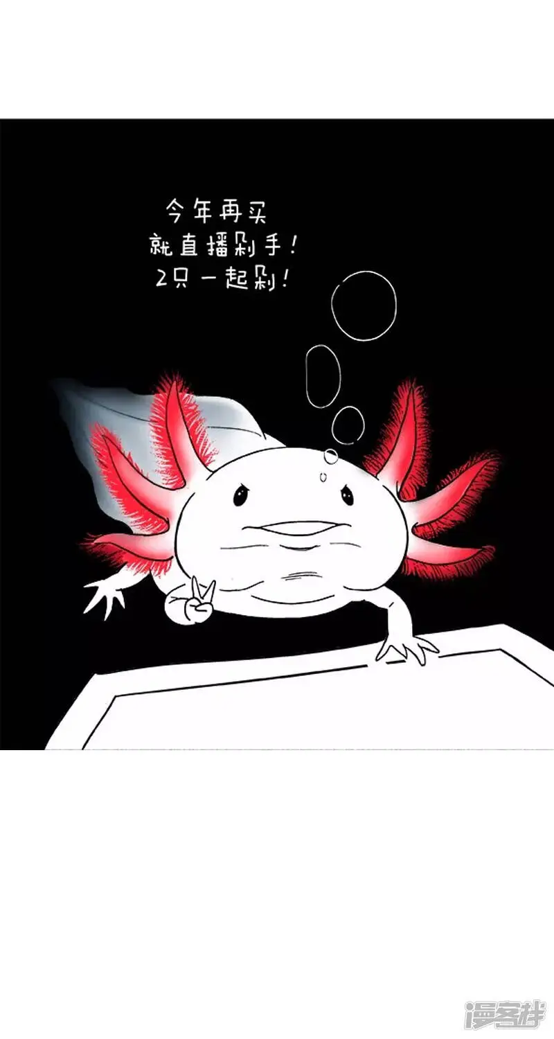 014剁手 第2页
