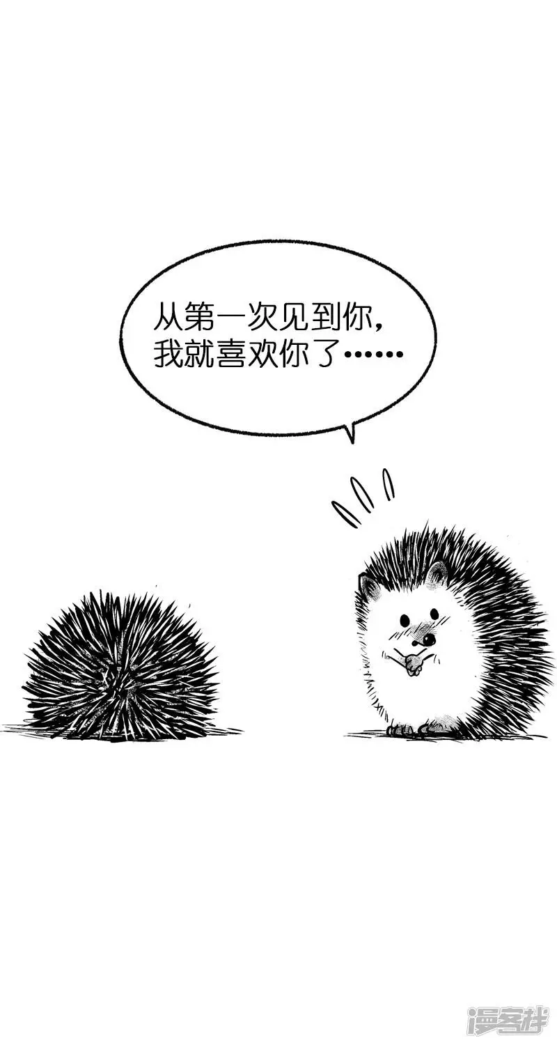 011告白 第3页