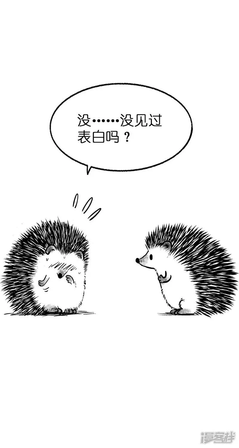 011告白 第7页