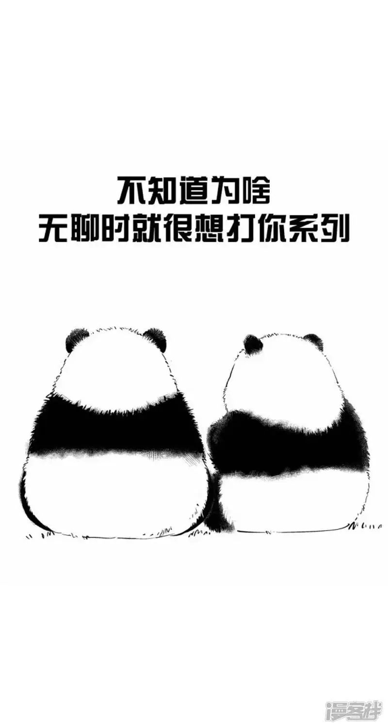 008头他（上海话：豆特） 第1页