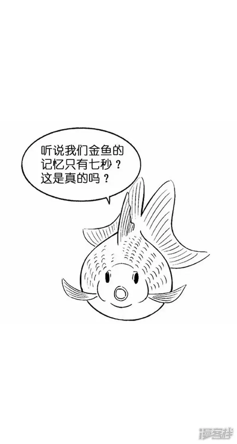 004健忘 第3页