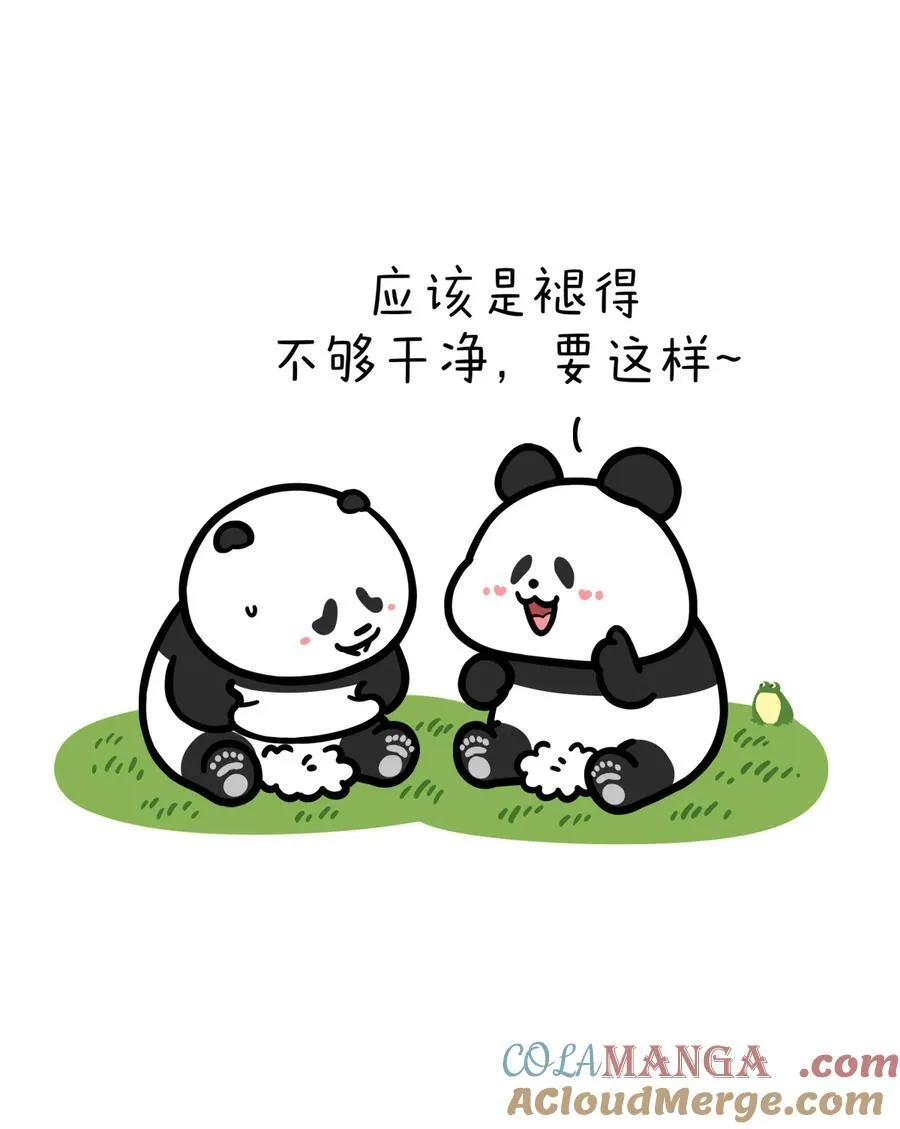 444 褪去浮华，方显生活的底色 第4页