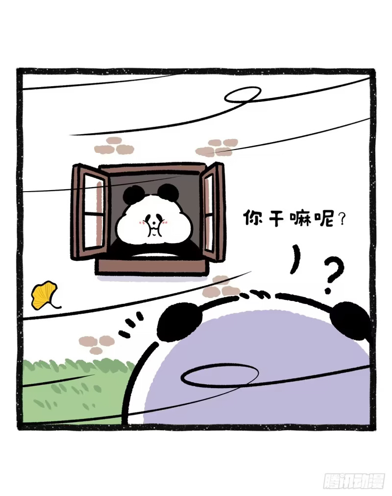你是以何种姿态迎接西北风？ 第5页