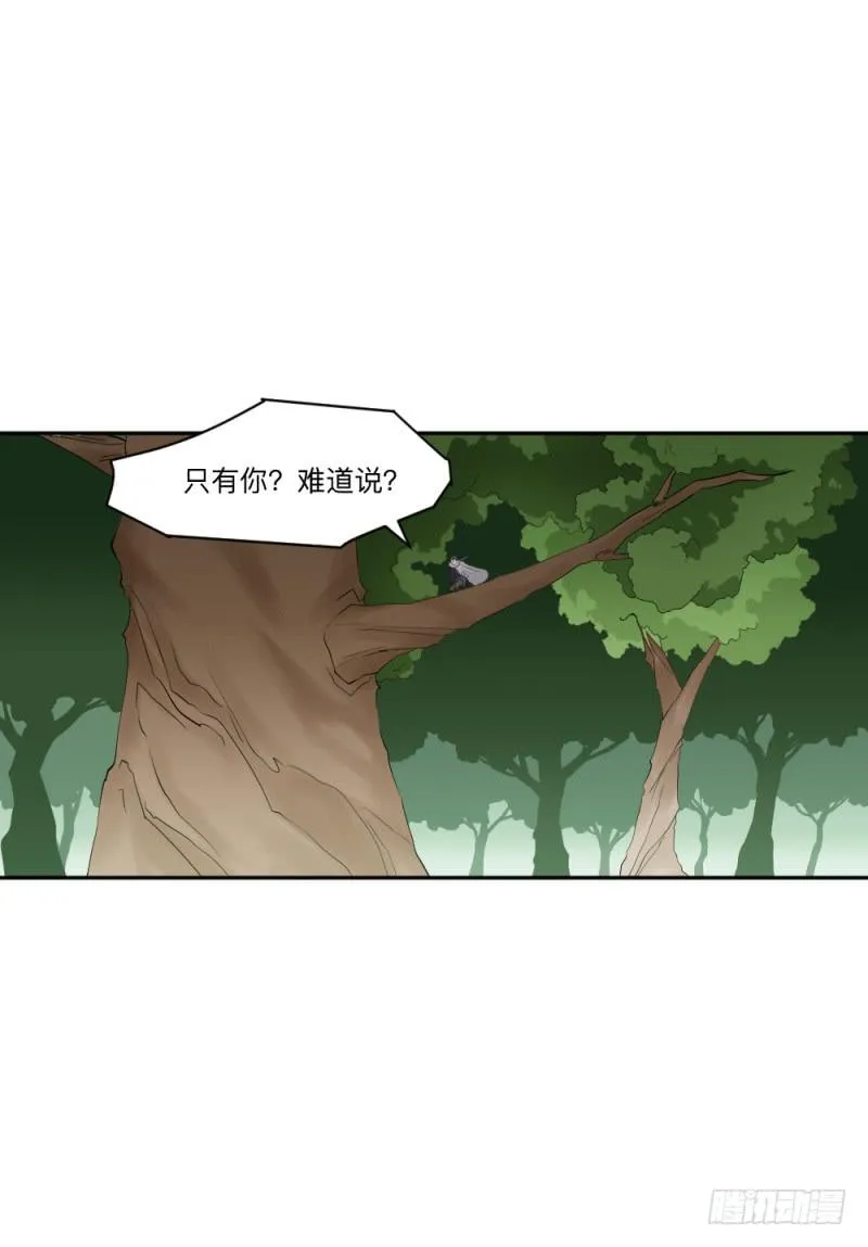 峡谷之龙 第33页
