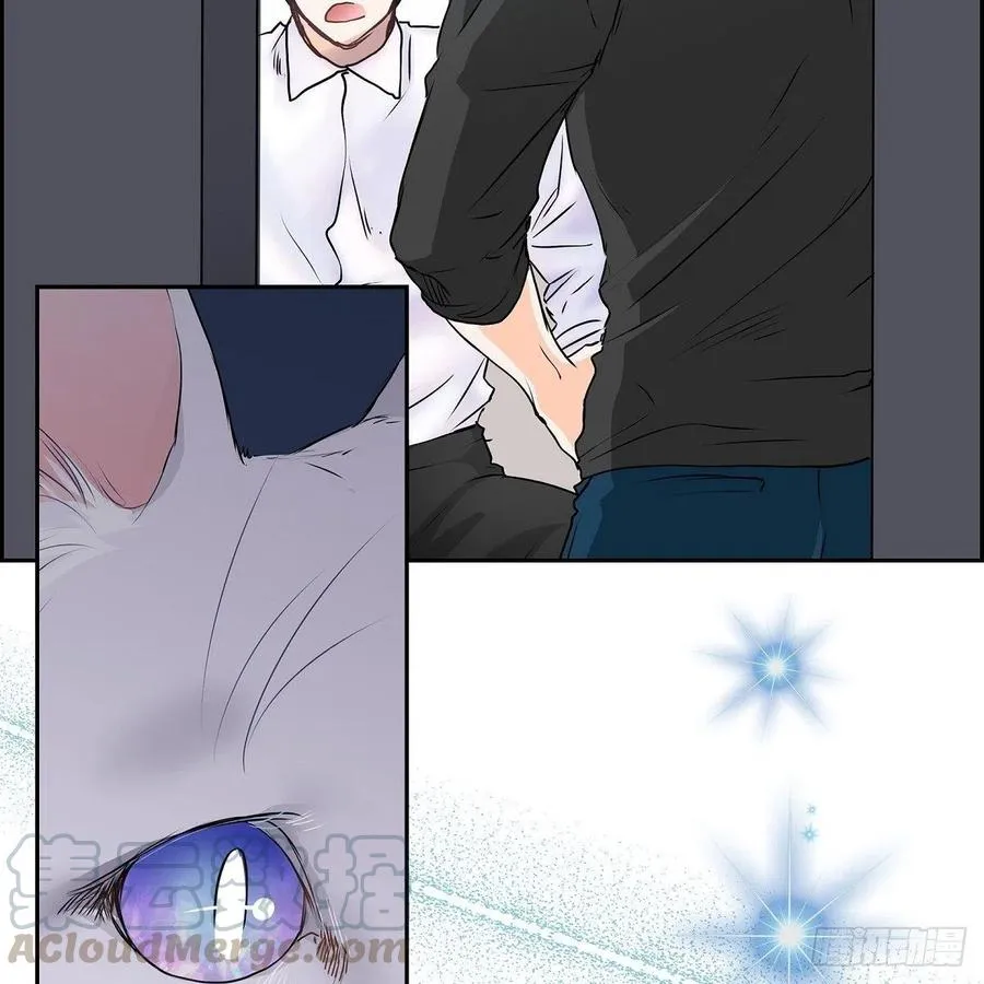 第41话 斐会和我在一起 第46页