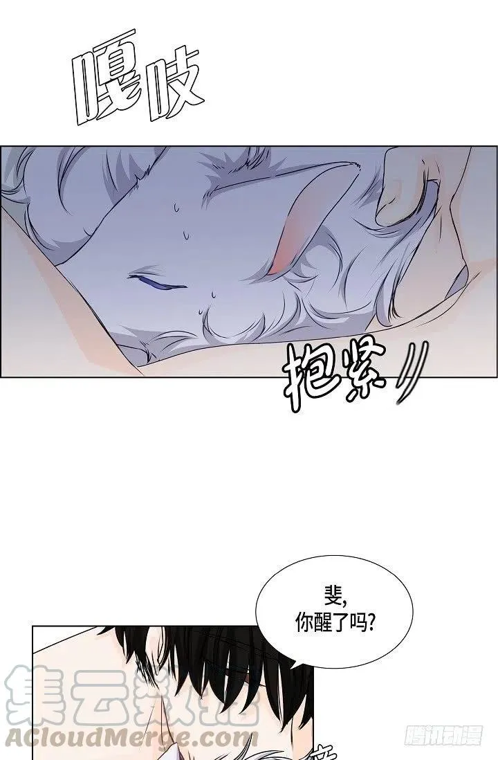 第28话 伤感的梦 第37页