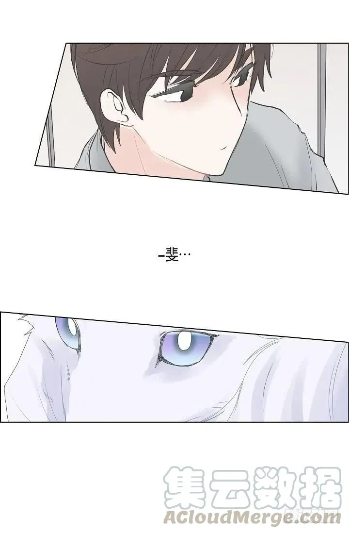 第26话 你怎么哭了 第37页
