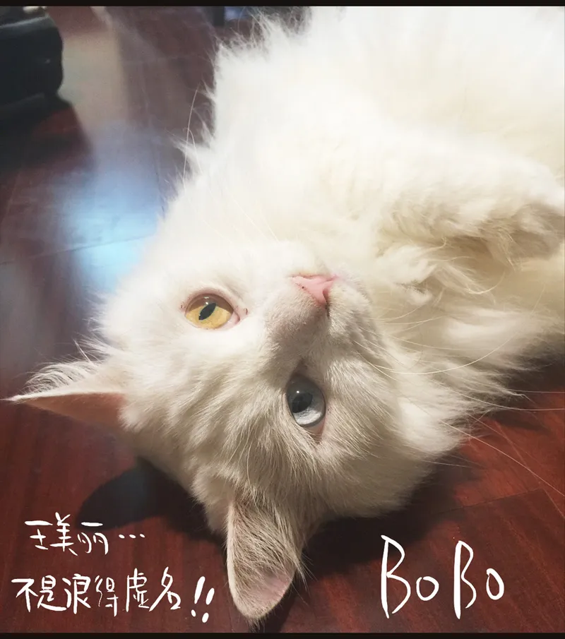 荒村直播（4） 第30页