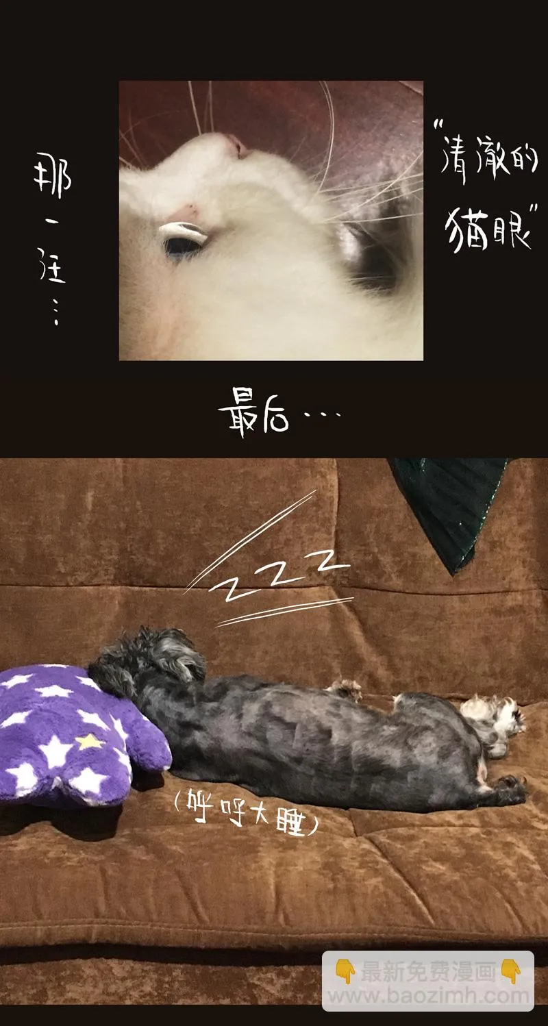 荒村直播（4） 第31页