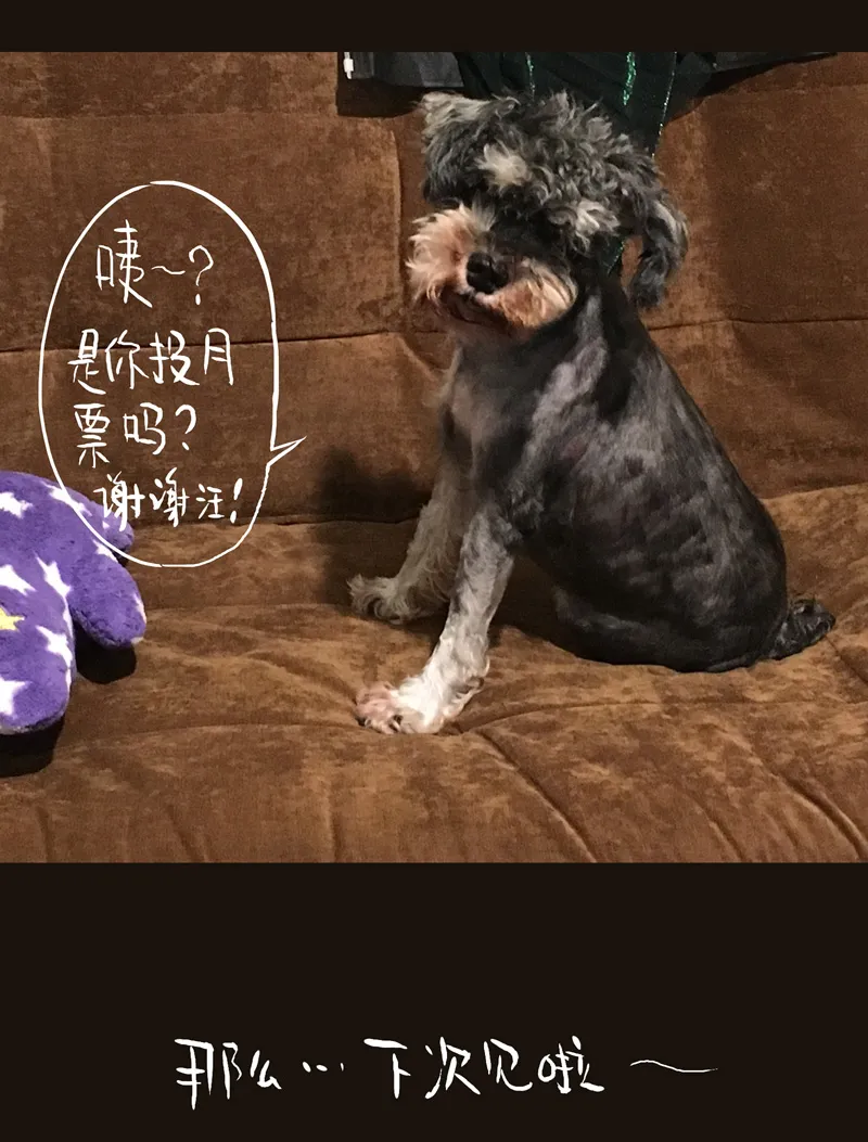 荒村直播（4） 第33页