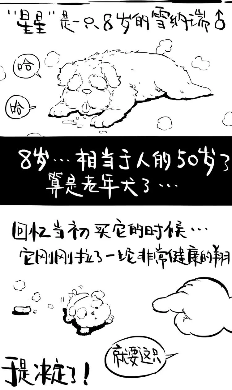 番外 作者日记（二） 第2页