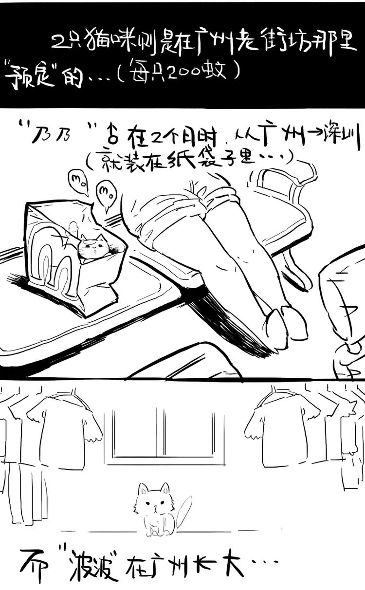番外 作者日记（二） 第3页