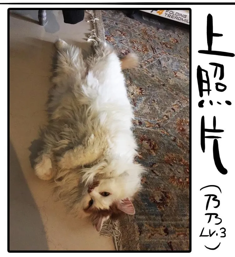 番外 作者日记（二） 第6页