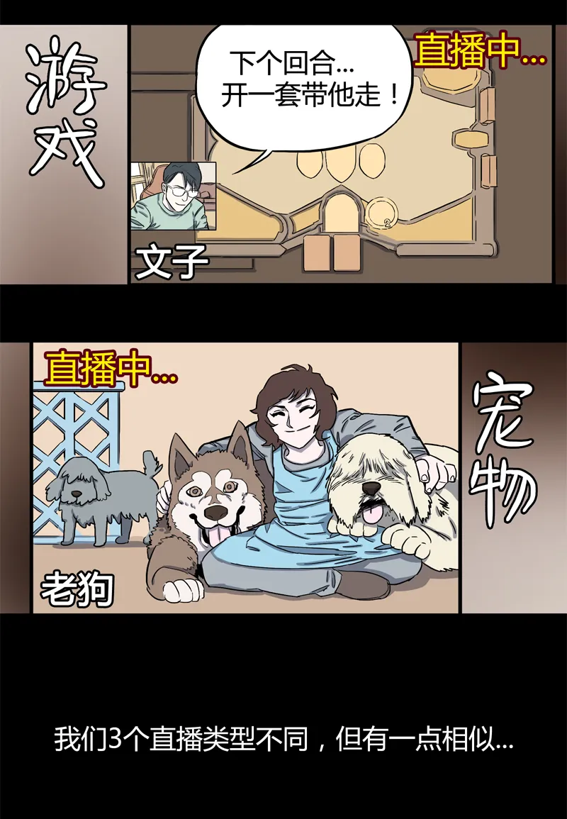 荒村直播（1） 第13页