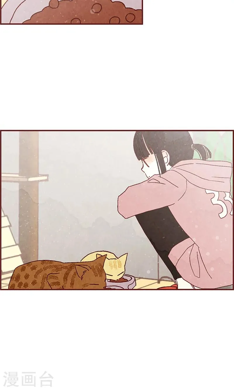 第4话 初次见面 第13页