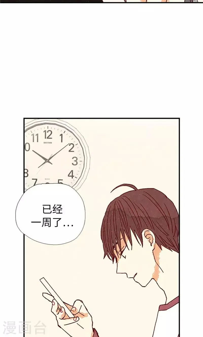 第26话 骇人听闻的新闻 第25页