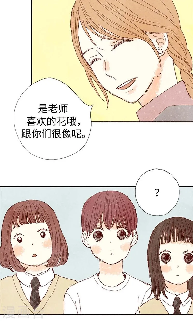 最终话 华丽的绽放 第31页