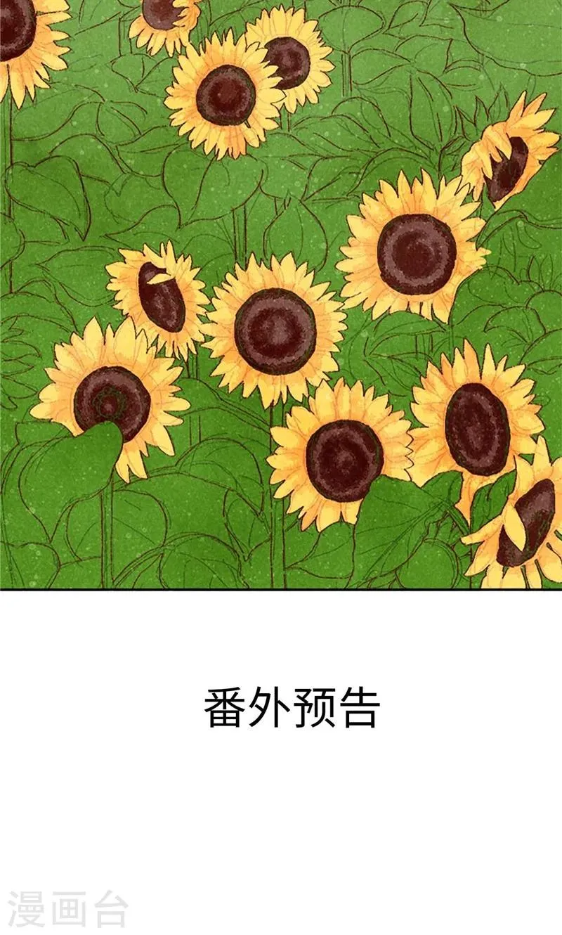 最终话 华丽的绽放 第36页