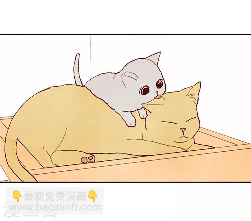 番外17 证明给你看 第37页