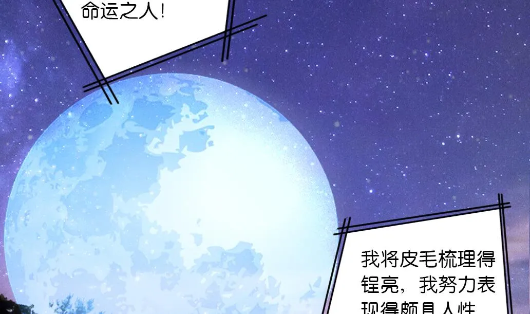 第29话 肉包的前世今生 2 第13页