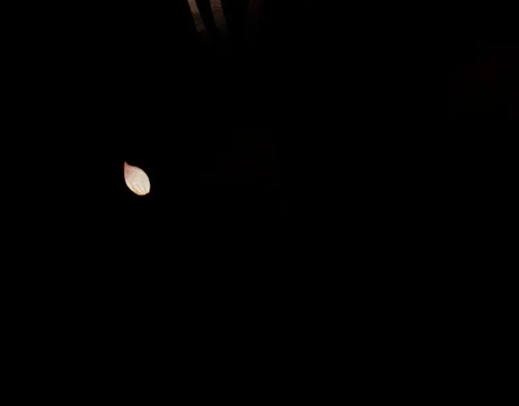完结篇 各寻归处 第157页