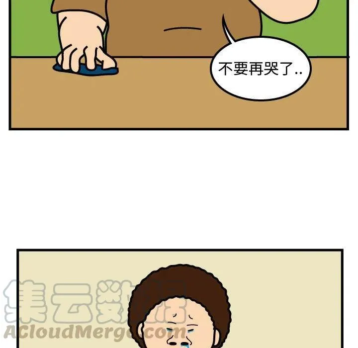 66 第13页