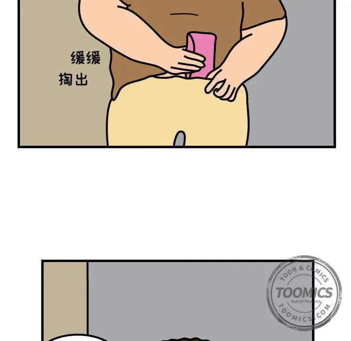 66 第41页