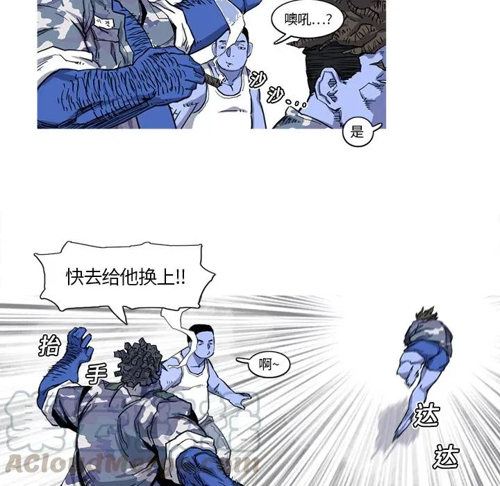 17 第43页