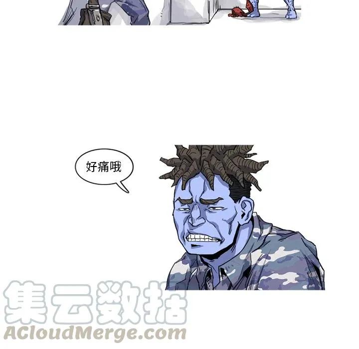 17 第55页