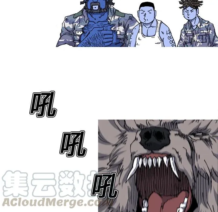 21 第13页