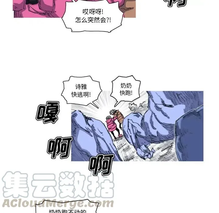 23 第55页