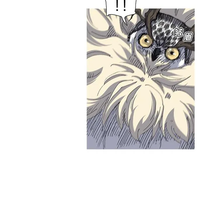 28 第26页